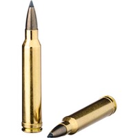 .300 Win. Mag. CDX 10,7g/165grs., Blaser