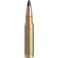 .308 Win. PSP 11,7g/180grs., Magtech