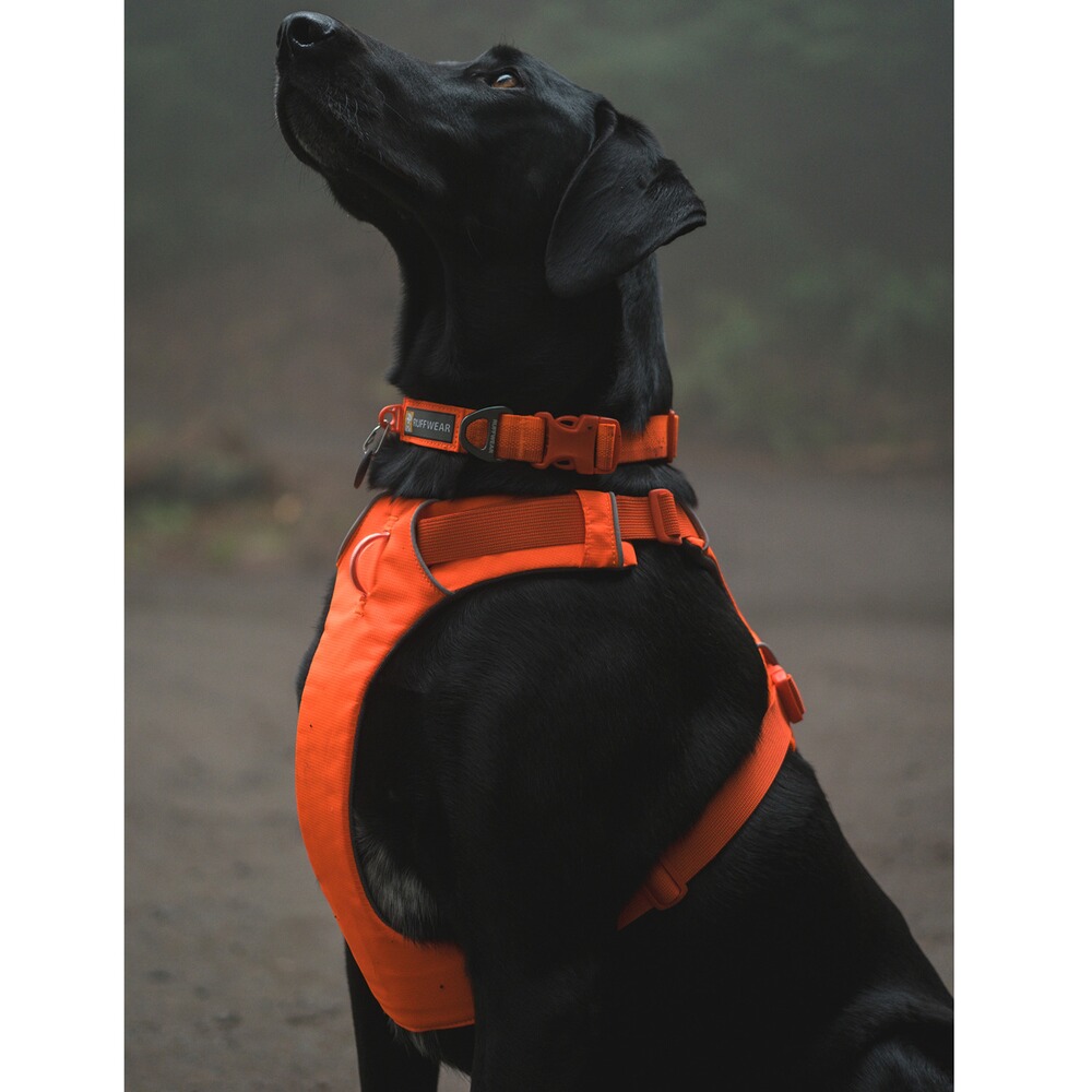 Dog harness Front Range orange L/XL, Ruffwear
