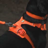 Dog harness Front Range orange L/XL, Ruffwear