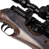 Luftgewehr HW 100 X-S/X-SK mit Schichtholschaft, Weihrauch Sport