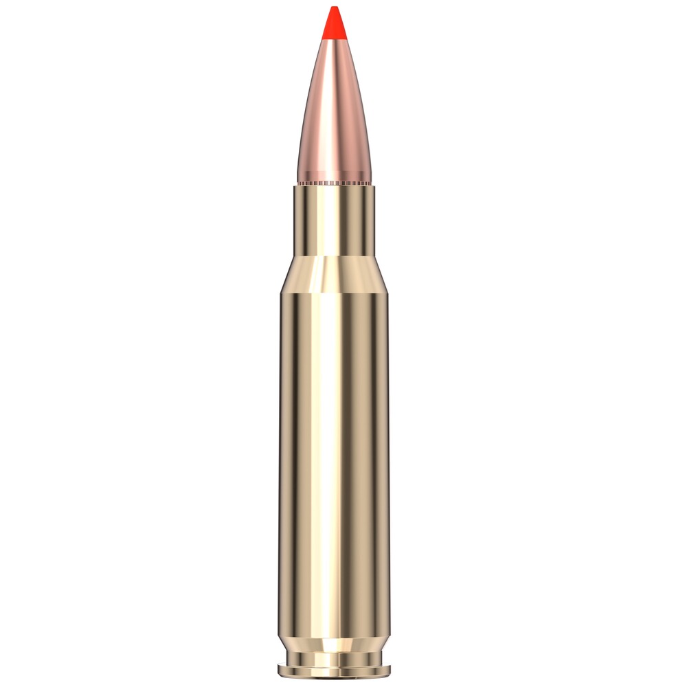 8,5x55 Blaser SST Interlock 13g/200grs., Hornady