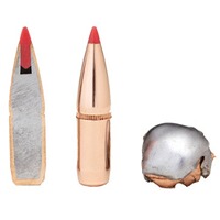 8,5x55 Blaser SST Interlock 13g/200grs., Hornady