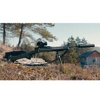 Repetierbüchse RMS Wild grün, Steyr Arms
