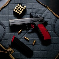 Pistole DWX OR, Dan Wesson
