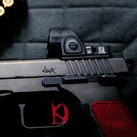 Pistole DWX OR, Dan Wesson