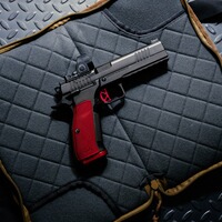 Pistole DWX OR, Dan Wesson