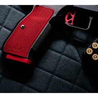 Pistole DWX OR, Dan Wesson