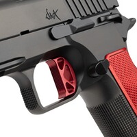 Pistole DWX OR, Dan Wesson