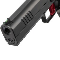 Pistole DWX OR, Dan Wesson