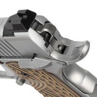 Pistole Specialist, Dan Wesson