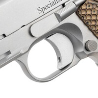 Pistole Specialist, Dan Wesson