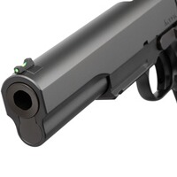 Pistole Kodiak, Dan Wesson