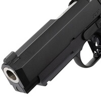 Pistole TCP OR, Dan Wesson