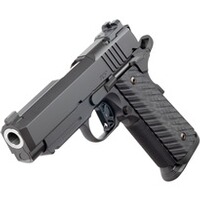 Pistole TCP OR, Dan Wesson