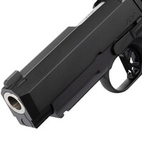 Pistole TCP OR, Dan Wesson