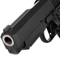 Pistole TCP OR, Dan Wesson
