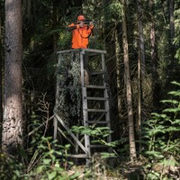 Zielfernrohr Ranger6 1-6x24 ohne Schiene, Steiner