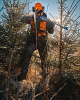 Jacke Thorn Resistant, Pinewood