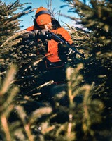Jacke Thorn Resistant, Pinewood