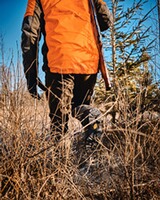 Jacke Thorn Resistant, Pinewood