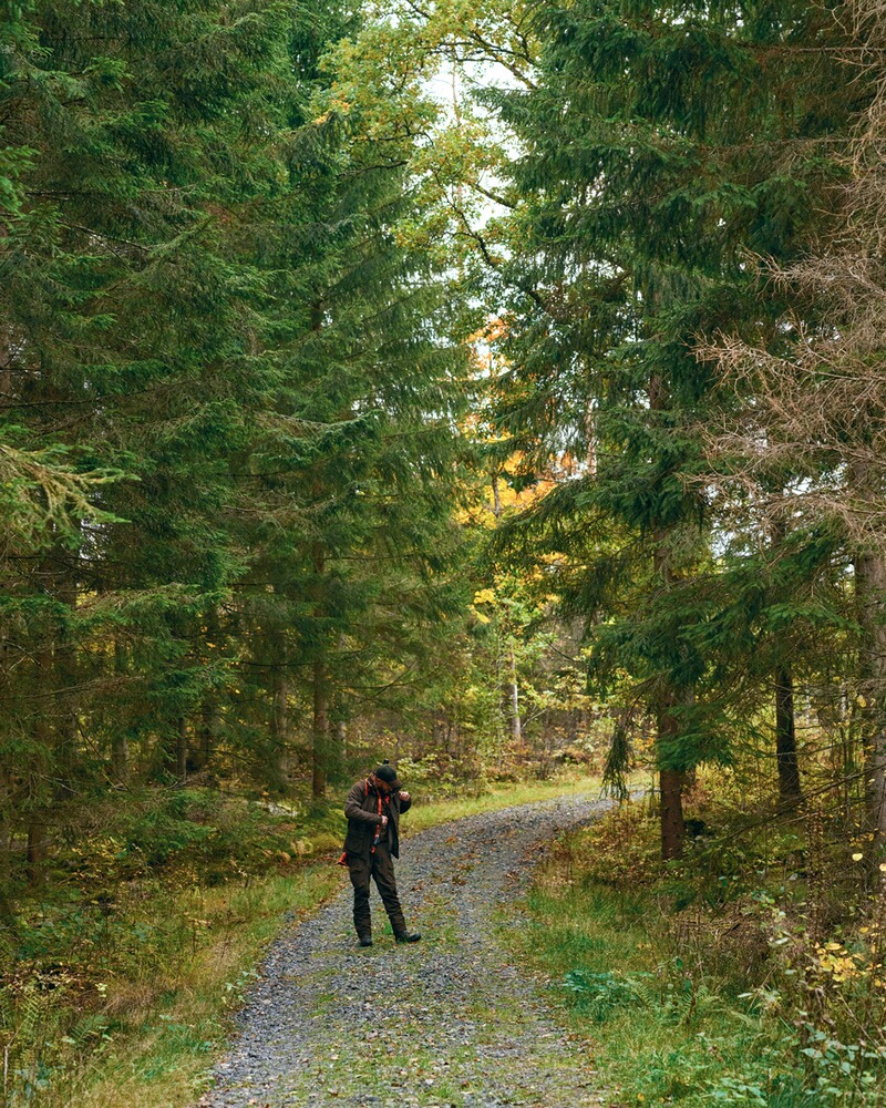 Jacke Smaland Hunters, Pinewood