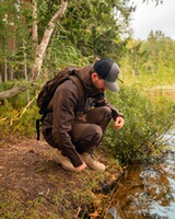 Jacke Finnveden Hybrid, Pinewood
