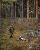Jacke Furudal Expert 2L, Pinewood