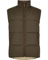 Daunenweste Graystown, Dubarry
