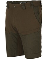 Shorts Strike, Deerhunter