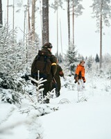 Hose Smaland Forest, Pinewood