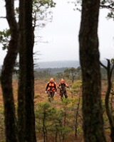 Hose Caribou Hunt Extreme, Pinewood