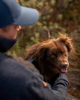Troyer Hurricane, Pinewood