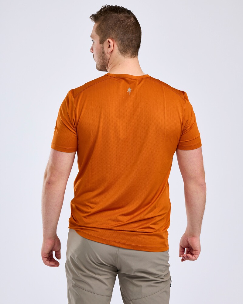 T-Shirt Function, Pinewood