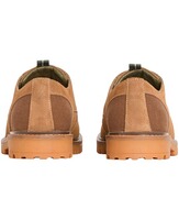 Lederschuh Sandstone, Barbour