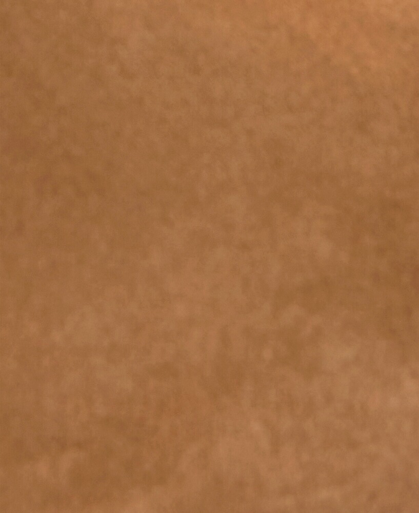 Lederschuh Sandstone, Barbour