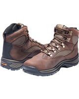 Trekkingstiefel Chocorua, Timberland