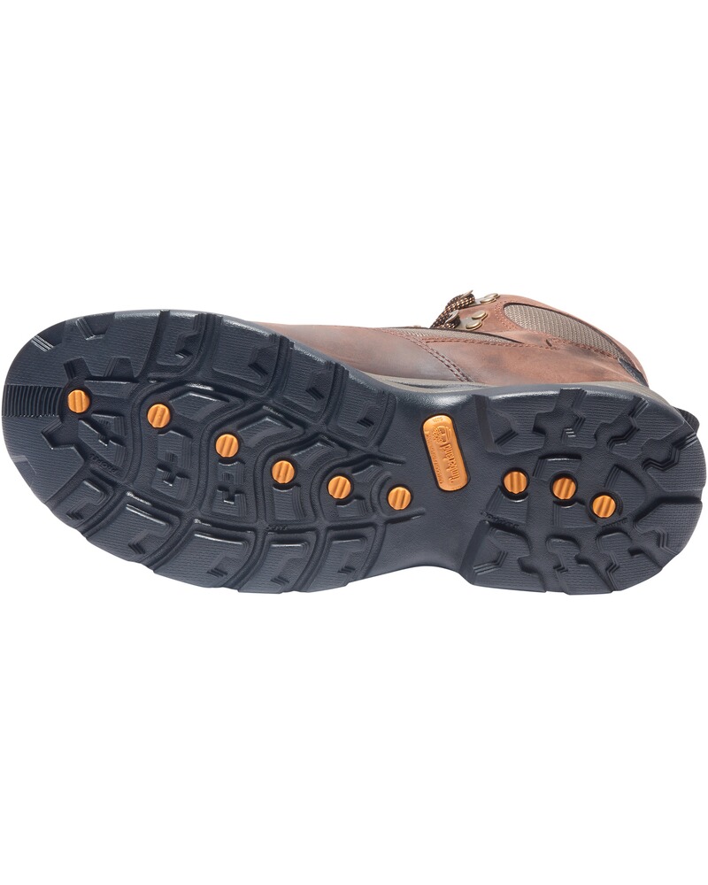 Trekkingstiefel Chocorua, Timberland