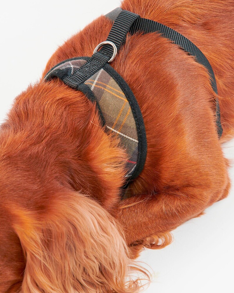 Hundegeschirr Classic Tartan, Barbour