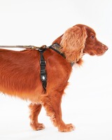 Hundegeschirr Classic Tartan, Barbour