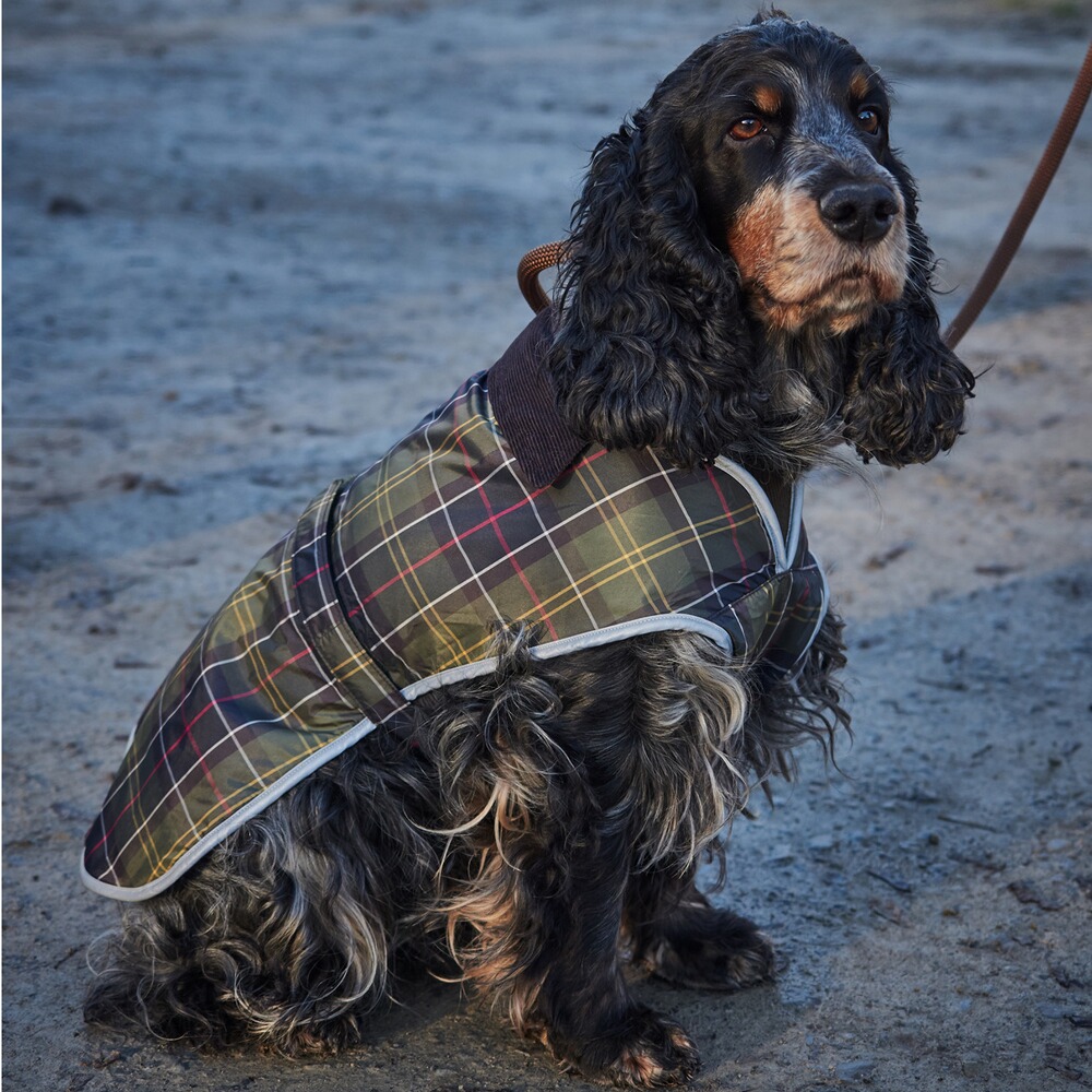 Hundemantel Waterproof Tartan, Barbour