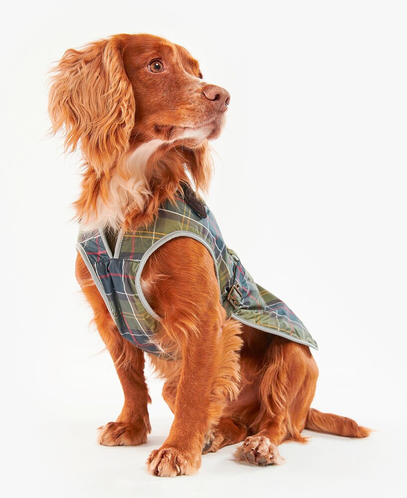 Hundemantel Waterproof Tartan, Barbour
