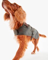 Hundemantel Matt Wax, Barbour