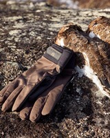 Handschuhe WB, Chevalier