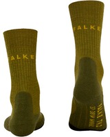 Socke TK2 Explore Wool, Falke