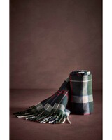 Schal Galingale, Barbour