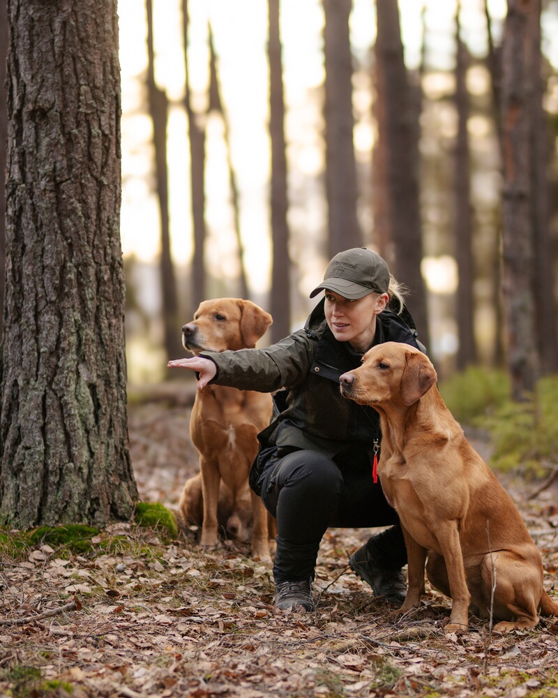 Damen Jacke Dog Sports 2.0, Pinewood