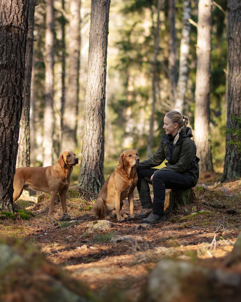 Damen Jacke Dog Sports 2.0, Pinewood