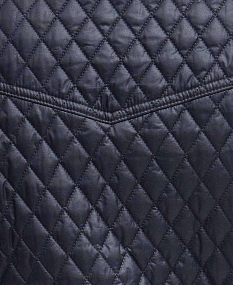 Steppweste Swallow, Barbour