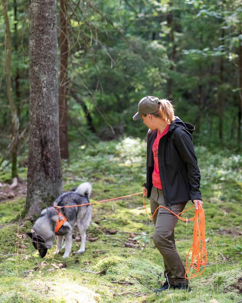 Damen Hose Finnveden Hybrid Extreme, Pinewood